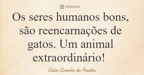 Os seres humanos bons, são reencarnações de gatos. Um animal extraordinário!... Frase de Celso Corrêa de Freitas.