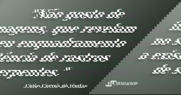 "Não gosto de imagens, que revelam no seu enquadramento a existência de rastros de serpentes."... Frase de Celso Corrêa de Freitas.