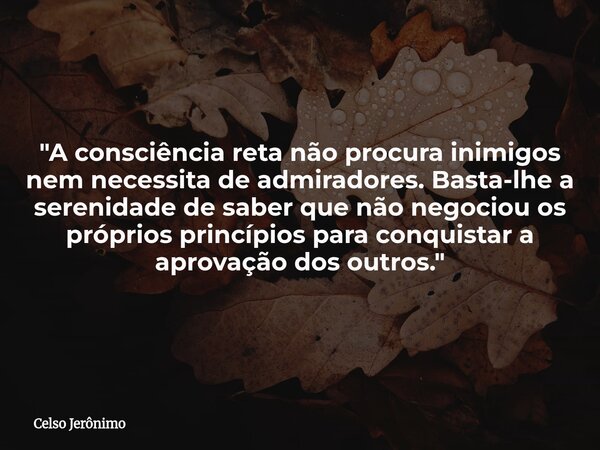 "A consciência reta não procura inimigos nem necessita de admiradores. Basta-lhe a serenidade de saber que não negociou os próprios princípios para conquis... Frase de Celso Jerônimo.