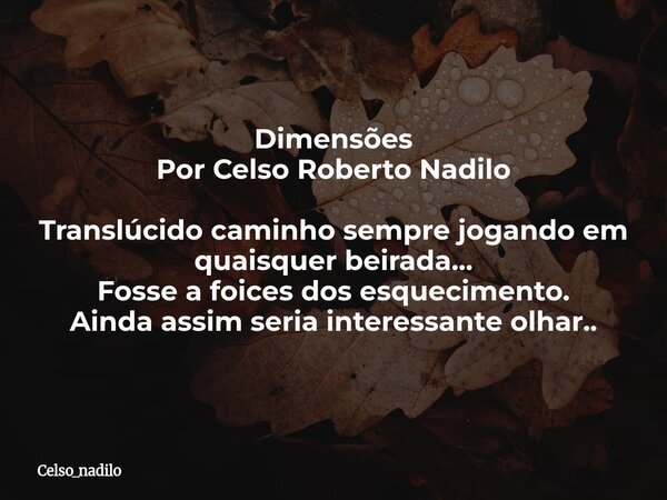 Dimensões Por Celso Roberto Nadilo Translúcido caminho sempre jogando em quaisquer beirada... Fosse a foices dos esquecimento. Ainda assim seria interessante ol... Frase de celso_nadilo.