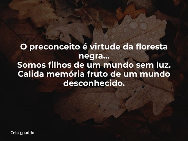 O preconceito é virtude da floresta negra... Somos filhos de um mundo sem luz. Calida memória fruto de um mundo desconhecido.... Frase de celso_nadilo.