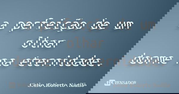 a perfeição de um olhar dorme na eternidade.... Frase de celso roberto nadilo.