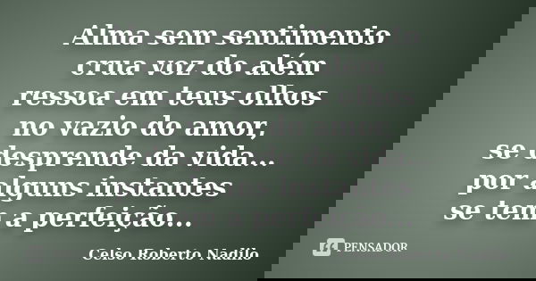 Alma sem sentimento crua voz do além ressoa em teus olhos no vazio do amor, se desprende da vida... por alguns instantes se tem a perfeição...... Frase de Celso Roberto Nadilo.