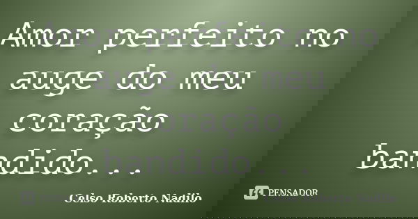 Amor perfeito no auge do meu coração bandido...... Frase de celso roberto nadilo.