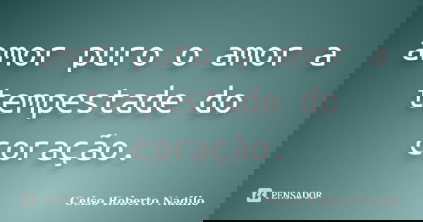 amor puro o amor a tempestade do coração.... Frase de celso roberto nadilo.