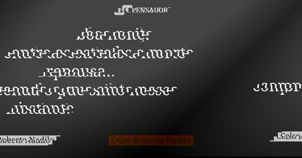 boa noite, entre as estrelas a morte repousa... compreenda o que sinto nesse instante.... Frase de celso roberto nadilo.