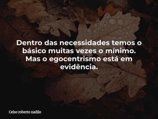Dentro das necessidades temos o básico muitas vezes o mínimo. Mas o egocentrismo está em evidência.... Frase de Celso roberto nadilo.