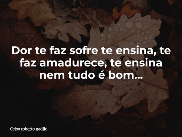 Dor te faz sofre te ensina, te faz amadurece, te ensina nem tudo é bom...... Frase de Celso roberto nadilo.