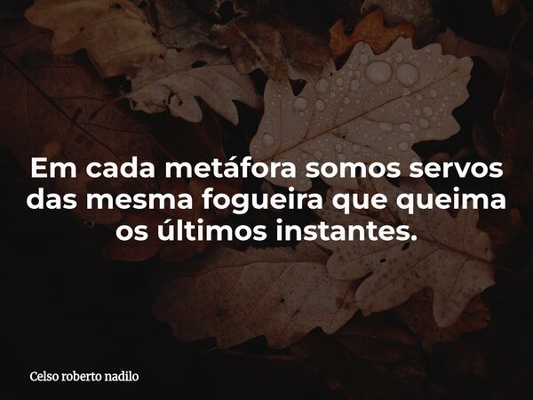 Em cada metáfora somos servos das mesma fogueira que queima os últimos instantes.... Frase de Celso roberto nadilo.