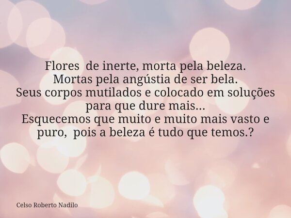 Flores de inerte, morta pela beleza. Mortas pela angústia de ser bela. Seus corpos mutilados e colocado em soluções para que dure mais... Esquecemos que muito e... Frase de Celso Roberto Nadilo.