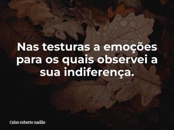Nas testuras a emoções para os quais observei a sua indiferença.... Frase de Celso roberto nadilo.