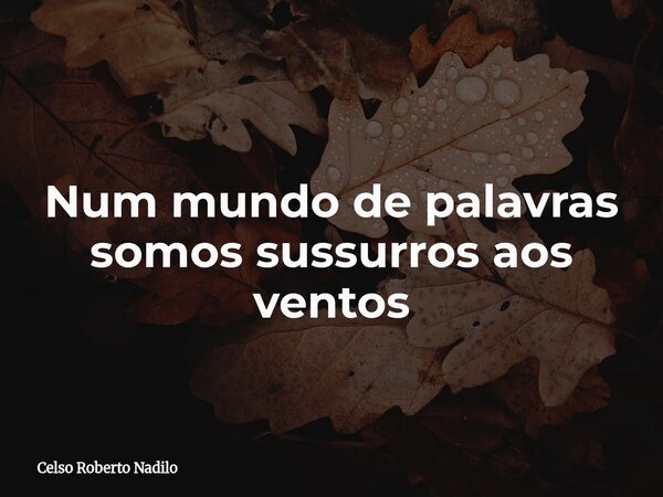 Num mundo de palavras somos sussurros aos ventos... Frase de Celso Roberto Nadilo.