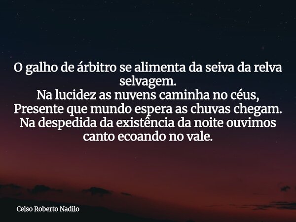 O galho de árbitro se alimenta da seiva da relva selvagem. Na lucidez as nuvens caminha no céus, Presente que mundo espera as chuvas chegam. Na despedida da exi... Frase de Celso Roberto Nadilo.