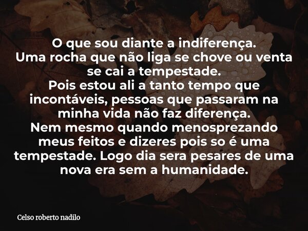 O que sou diante a indiferença. Uma rocha que não liga se chove ou venta se cai a tempestade. Pois estou ali a tanto tempo que incontáveis, pessoas que passaram... Frase de Celso roberto nadilo.