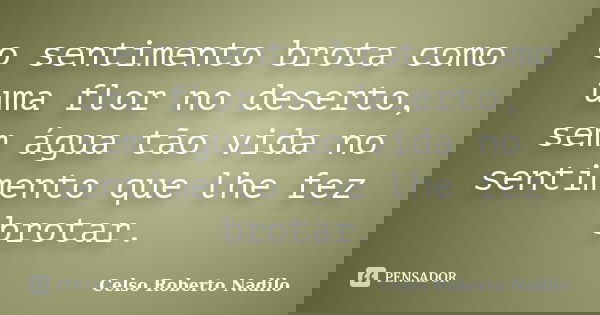 o sentimento brota como uma flor no deserto, sem água tão vida no sentimento que lhe fez brotar.... Frase de celso roberto nadilo.