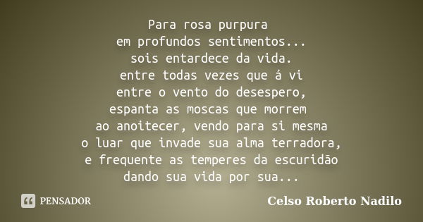 Para rosa purpura em profundos sentimentos... sois entardece da vida. entre todas vezes que á vi entre o vento do desespero, espanta as moscas que morrem ao ano... Frase de celso roberto nadilo.