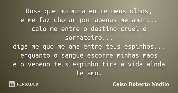 Rosa que murmura entre meus olhos, e me faz chorar por apenas me amar... calo me entre o destino cruel e sorrateiro... diga me que me ama entre teus espinhos...... Frase de celso roberto nadilo.