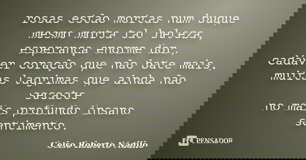 rosas estão mortas num buque mesmo morta tal beleza, esperança enorme dor, cadáver coração que não bate mais, muitas lagrimas que ainda não secaste no mais prof... Frase de celso roberto nadilo.