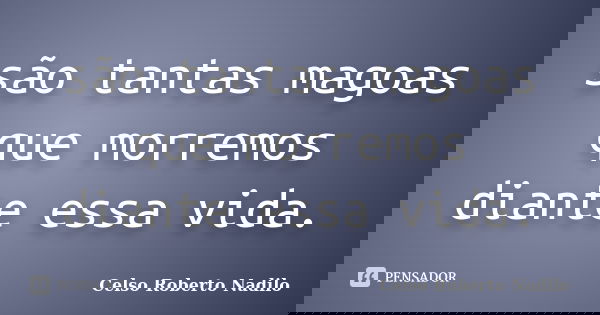 são tantas magoas que morremos diante essa vida.... Frase de celso roberto nadilo.