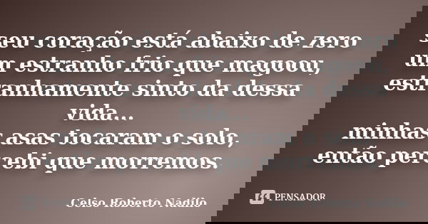 seu coração está abaixo de zero um estranho frio que magoou, estranhamente sinto da dessa vida... minhas asas tocaram o solo, então percebi que morremos.... Frase de celso roberto nadilo.