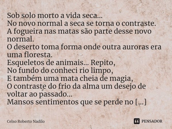 A solitude da alma se revela na celso roberto nadilo - Pensador