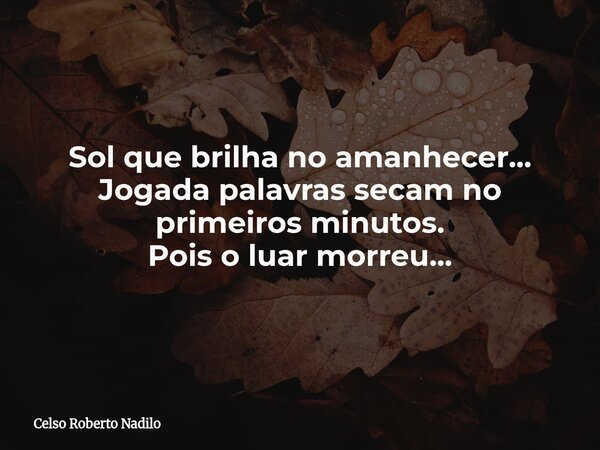 Sol que brilha no amanhecer... Jogada palavras secam no primeiros minutos. Pois o luar morreu...... Frase de Celso Roberto Nadilo.
