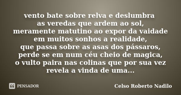 vento bate sobre relva e deslumbra as veredas que ardem ao sol, meramente matutino ao expor da vaidade em muitos sonhos a realidade, que passa sobre as asas dos... Frase de celso roberto nadilo.