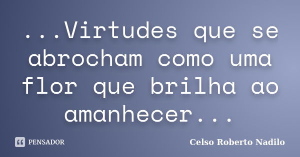 ...Virtudes que se abrocham como uma flor que brilha ao amanhecer...... Frase de celso roberto nadilo.