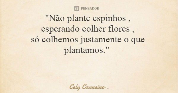 "Não plante espinhos , esperando colher flores , só colhemos justamente o que plantamos."... Frase de Cely Carreiro ..