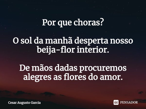 ⁠Por que choras? O sol da manhã desperta nosso beija-flor interior. De mãos dadas procuremos alegres as flores do amor.... Frase de Cesar Augusto Garcia.