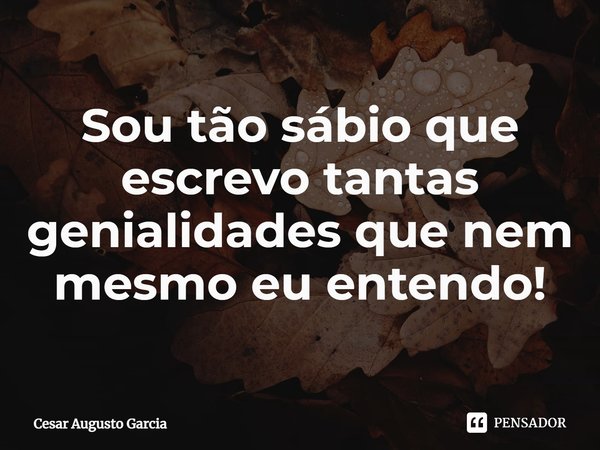 ⁠Sou tão sábio que escrevo tantas genialidades que nem mesmo eu entendo!... Frase de Cesar Augusto Garcia.