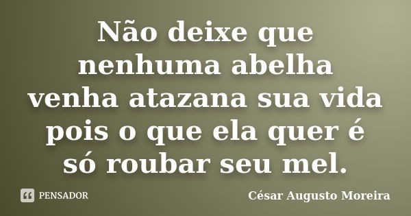 Não deixe que nenhuma abelha venha atazana sua vida pois o que ela quer é só roubar seu mel.... Frase de César Augusto Moreira.