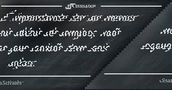 É importante ter ao menos meia dúzia de amigos, não esqueça que caixão tem seis alças.... Frase de Cesar Estivales.