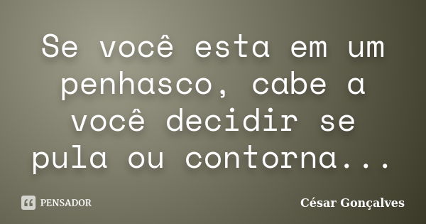 Se você esta em um penhasco, cabe a você decidir se pula ou contorna...... Frase de César Gonçalves.