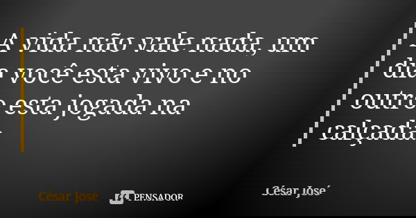 A vida não vale nada, um dia você esta vivo e no outro esta jogada na calçada.... Frase de César José.