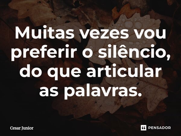 ⁠Muitas vezes vou preferir o silêncio, do que articular as palavras.... Frase de Cesar Junior.