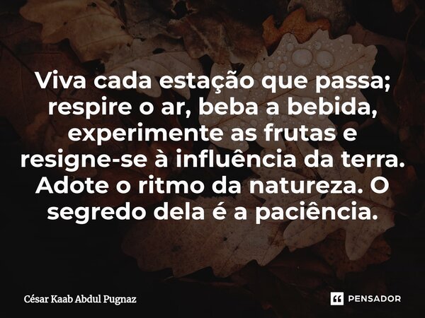 ⁠Viva cada estação que passa; respire o ar, beba a bebida, experimente as frutas e resigne-se à influência da terra. Adote o ritmo da natureza. O segredo dela é... Frase de Cesar Kaab Abdul Pugnaz.