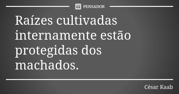 Raízes cultivadas internamente estão protegidas dos machados.... Frase de César Kaab.