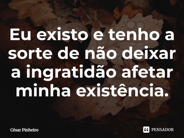 ⁠Eu existo e tenho a sorte de não deixar a ingratidão afetar minha existência.... Frase de Cesar Pinheiro.