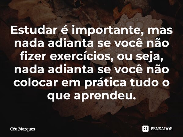 ⁠⁠Estudar é importante, mas nada adianta se você não fizer exercícios, ou seja, nada adianta se você não colocar em prática tudo o que aprendeu.... Frase de Céu Marques.