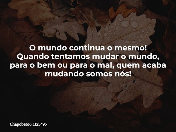O mundo continua o mesmo! Quando tentamos mudar o mundo, para o bem ou para o mal, quem acaba mudando somos nós!... Frase de chapobeto6_1125495.