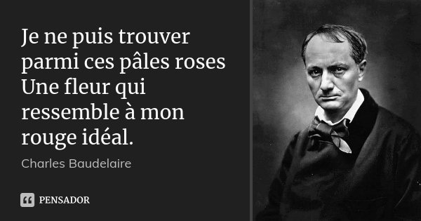 Je ne puis trouver parmi ces pâles roses Une fleur qui ressemble à mon rouge idéal.... Frase de Charles Baudelaire.