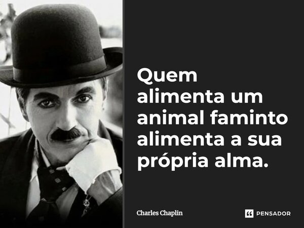 ⁠Quem alimenta um animal faminto alimenta a sua própria alma.... Frase de Charles Chaplin.
