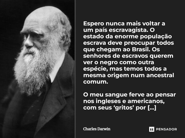 Espero nunca mais voltar a um país escravagista. O estado da enorme população escrava deve preocupar todos que chegam ao Brasil. Os senhores de escravos querem ... Frase de Charles Darwin.