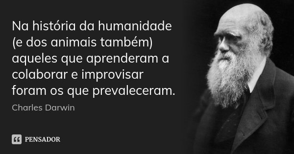 Na história da humanidade (e dos animais também) aqueles que aprenderam a colaborar e improvisar foram os que prevaleceram.... Frase de Charles Darwin.