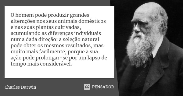 O homem pode produzir grandes alterações nos seus animais domésticos e nas suas plantas cultivadas, acumulando as diferenças individuais numa dada direção; a se... Frase de Charles Darwin.