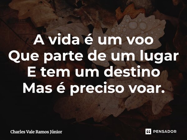 ⁠A vida é um voo Que parte de um lugar E tem um destino Mas é preciso voar.... Frase de Charles Vale Ramos Júnior.