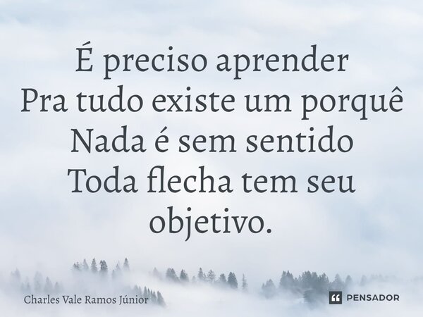 ⁠É preciso aprender Pra tudo existe um porquê Nada é sem sentido Toda flecha tem seu objetivo.... Frase de Charles Vale Ramos Júnior.