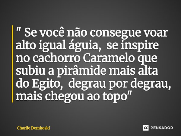 ⁠" Se você não consegue voar alto igual águia, se inspire no cachorro Caramelo que subiu a pirâmide mais alta do Egito, degrau por degrau, mais chegou ao t... Frase de Charlie Demkoski.