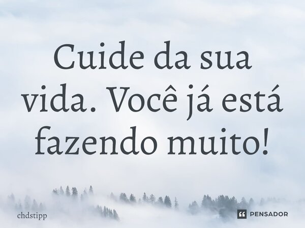 Cuide da sua vida. Você já está fazendo muito!⁠... Frase de chdstipp.